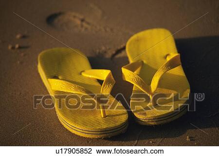 Sandal on Beach, High Angle View, Close Up, Differential Focus View Large Photo Image Stock Image - Sandal on Beach, High Angle View, Close Up, Differential Focus. Fotosearch
