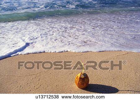 Stock Photo - A Coconut and Lapping Waves, High Angle View. Fotosearch