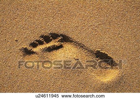 Stock Photography - A Footprint on the Sands, High Angle View. Fotosearch