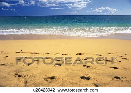 Stock Image - Footprints on the Sandy Beach. Fotosearch