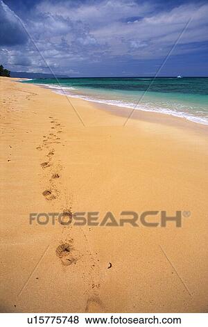 Footprints on the Sandy Beach View Large Photo Image Stock Photo - Footprints on the Sandy Beach. Fotosearch
