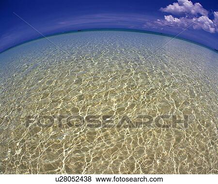 Ripples of Tropical Sea, Pan Focus, Fish-eye View Large Photo Image Stock Photo - Ripples of Tropical Sea, Pan Focus, Fish-eye. Fotosearch