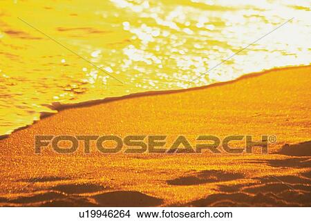 The Beach Tinged with Orange by the Setting Sunlight View Large Photo Image Picture - The Beach Tinged with Orange by the Setting Sunlight. Fotosearch