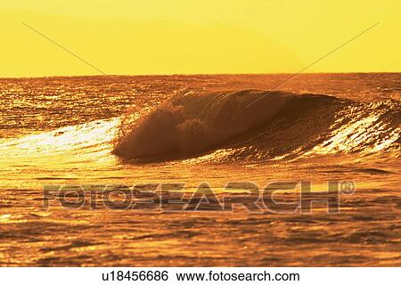 The Ocean Waves Tinged with Orange by the Setting Sunlight View Large Photo Image Stock Photograph - The Ocean Waves Tinged with Orange by the Setting Sunlight. Fotosearch