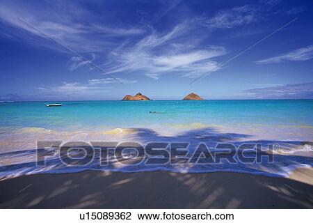 Stock Image - Tropical Beach and the Shadows of Palm Tree, Pan Focus. Fotosearch