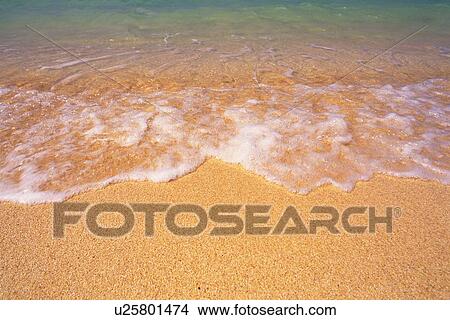 Picture - Tropical Beach, High Angle View. Fotosearch