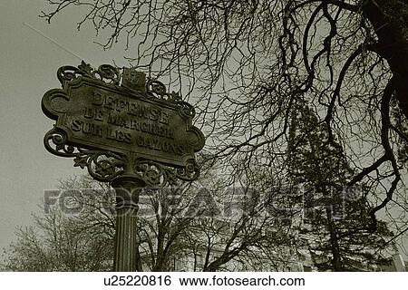 Image of a Decorative Signboard Surrounded By Several Trees, Low Angle View, Paris, France View Large Photo Image Stock Photograph - Image of a Decorative Signboard Surrounded By Several Trees, Low Angle View, Paris, France. Fotosearch