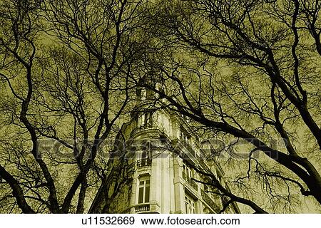 Stock Photo - Image of a Parisian Apartment House, Surrounded By a lot of Trees, Low Angle View, Paris, France. Fotosearch