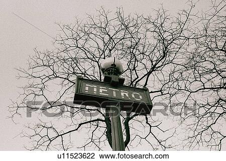 Image of a Sign For the Subway Under a Tree, Low Angle View, Paris, France View Large Photo Image Stock Image - Image of a Sign For the Subway Under a Tree, Low Angle View, Paris, France. Fotosearch