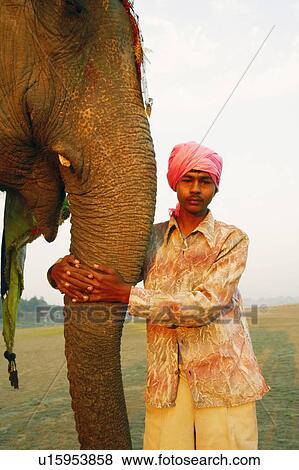 Close-up of a young man holding the trunk of an elephant View Large Photo Image Stock Photo - Close-up of a young man holding the trunk of an elephant. Fotosearch