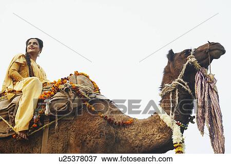 Stock Photo - Low angle view of a young woman riding a camel. Fotosearch