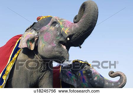 Stock Photograph - Low angle view of two painted elephants blowing their trumpets, Jaipur, Rajasthan, India. Fotosearch