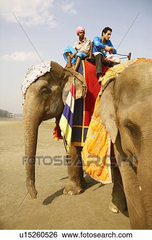 Stock Photograph - Low angle view of two young men riding an elephant. Fotosearch