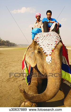 Low angle view of two young men sitting on an elephant View Large Photo Image Stock Photo - Low angle view of two young men sitting on an elephant. Fotosearch
