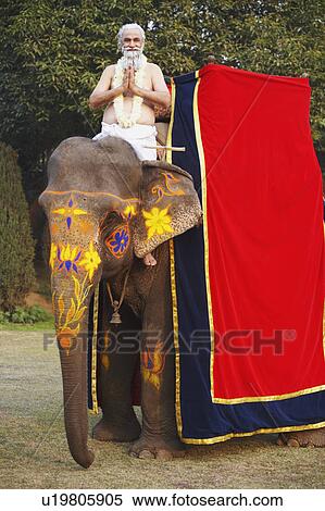 Portrait of a priest riding an elephant View Large Photo Image Stock Photography - Portrait of a priest riding an elephant. Fotosearch