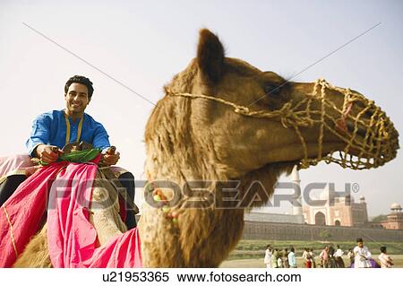 Portrait of a young man riding a camel View Large Photo Image Stock Photography - Portrait of a young man riding a camel. Fotosearch