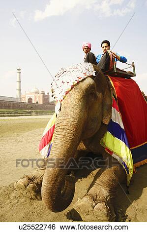 Stock Photograph - Portrait of two young men sitting on an elephant. Fotosearch
