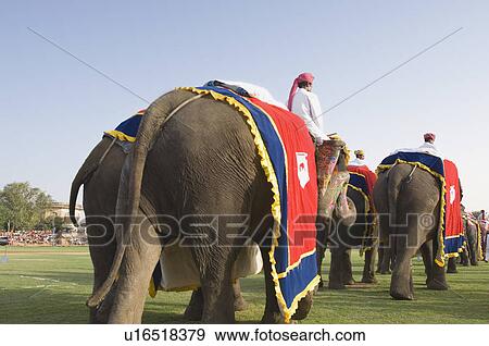 Rear view of three men riding elephants at an elephant festival, Jaipur, Rajasthan, India View Large Photo Image Stock Photo - Rear view of three men riding elephants at an elephant festival, Jaipur, Rajasthan, India. Fotosearch