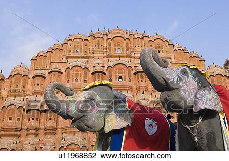 Stock Image - Low angle view of two elephants blowing their trumpets in front of a palace, Hawa Mahal, Jaipur, Rajasthan, India. Fotosearch