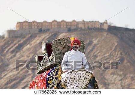 Portrait of a mature man riding an elephant in front of a palace, Jaipur, Rajasthan, India View Large Photo Image Stock Photography - Portrait of a mature man riding an elephant in front of a palace, Jaipur, Rajasthan, India. Fotosearch