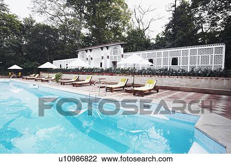 Lounge chairs at the poolside View Large Photo Image Stock Image - Lounge chairs at the poolside. Fotosearch