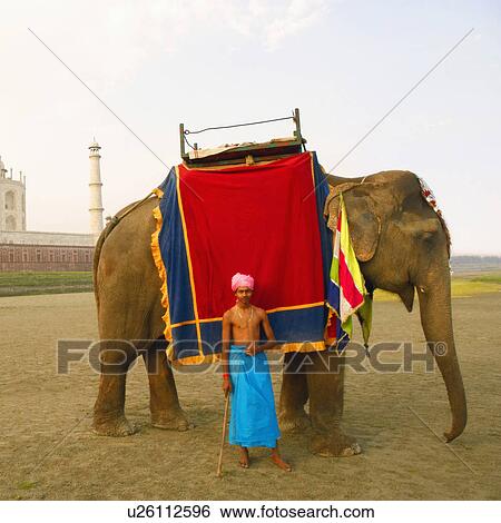 Young man standing in front of a mausoleum, Taj Mahal, Uttar Pradesh, India View Large Photo Image Stock Photograph - Young man standing in front of a mausoleum, Taj Mahal, Uttar Pradesh, India. Fotosearch
