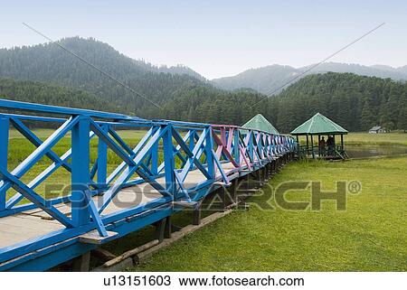 Boardwalk on a landscape, Khajjiar, Himachal Pradesh, India View Large Photo Image Stock Image - Boardwalk on a landscape, Khajjiar, Himachal Pradesh, India. Fotosearch