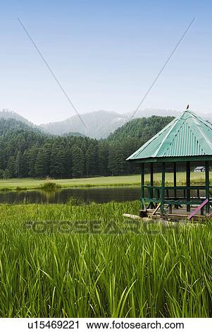 Stock Image - Gazebo on a landscape, Khajjiar, Himachal Pradesh, India. Fotosearch