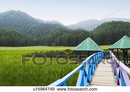 Boardwalk on a landscape, Khajjiar, Himachal Pradesh, India View Large Photo Image Stock Photo - Boardwalk on a landscape, Khajjiar, Himachal Pradesh, India. Fotosearch