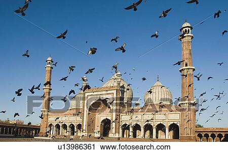 Facade of a mosque, Jama Masjid, New Delhi, India View Large Photo Image Stock Image - Facade of a mosque, Jama Masjid, New Delhi, India. Fotosearch