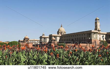 Flowering plants beside a government building, Rashtrapati Bhavan, New Delhi, India View Large Photo Image Stock Photography - Flowering plants beside a government building, Rashtrapati Bhavan, New Delhi, India. Fotosearch