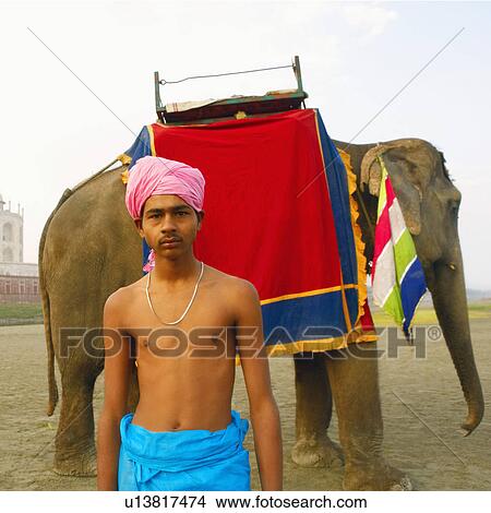 Portrait of a young man standing in front of an elephant, Taj Mahal, Agra, Uttar Pradesh, India View Large Photo Image Picture - Portrait of a young man standing in front of an elephant, Taj Mahal, Agra, Uttar Pradesh, India. Fotosearch