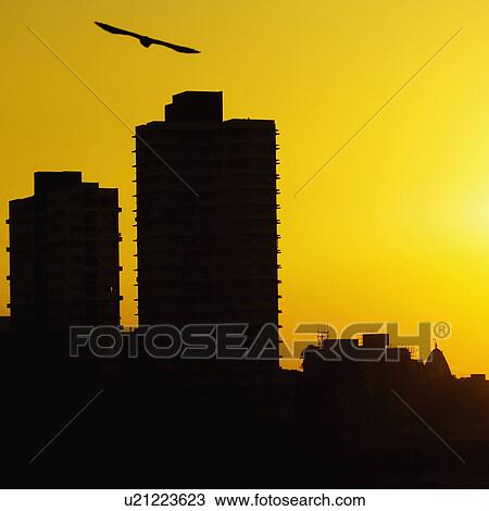 Stock Image - Silhouette of skyscrapers at dusk, Mumbai, Maharashtra, India. Fotosearch