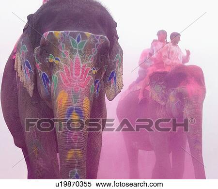Stock Photography - Three elephants at an elephant festival, Jaipur, Rajasthan, India. Fotosearch