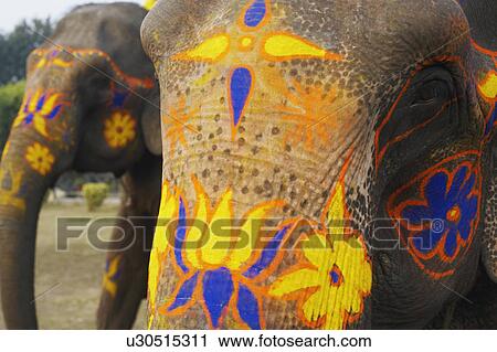Stock Image - Close-up of a decorated elephant. Fotosearch