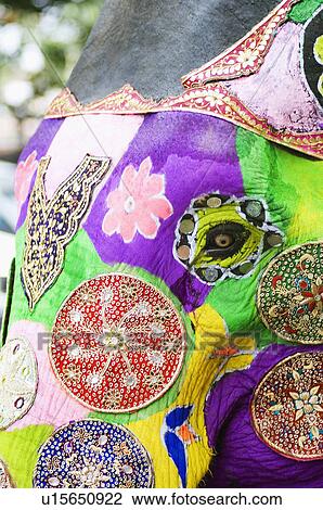 Close-up of a painted elephant, Elephant Festival, Jaipur, Rajasthan, India View Large Photo Image Stock Image - Close-up of a painted elephant, Elephant Festival, Jaipur, Rajasthan, India. Fotosearch