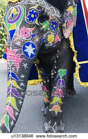 Stock Photograph - Close-up of a painted elephant, Elephant Festival, Jaipur, Rajasthan, India. Fotosearch