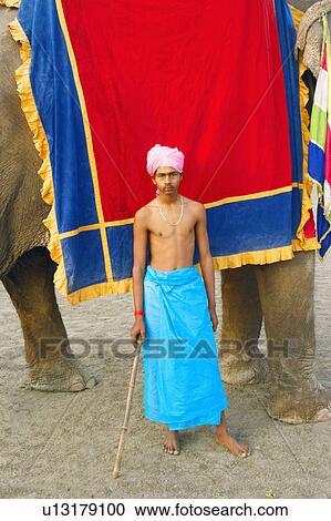 Close-up of a young man standing near an elephant View Large Photo Image Stock Image - Close-up of a young man standing near an elephant. Fotosearch