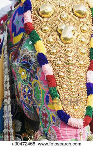 Close-up of the head of a painted elephant, Elephant Festival, Jaipur, Rajasthan, India View Large Photo Image Stock Photography - Close-up of the head of a painted elephant, Elephant Festival, Jaipur, Rajasthan, India. Fotosearch