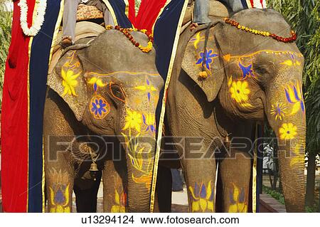 Close-up of two decorated elephants View Large Photo Image Picture - Close-up of two decorated elephants. Fotosearch