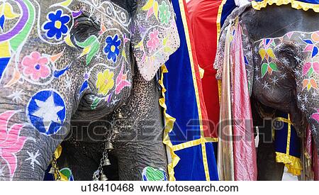 Stock Photo - Close-up of two painted elephants, Elephant Festival, Jaipur, Rajasthan, India. Fotosearch