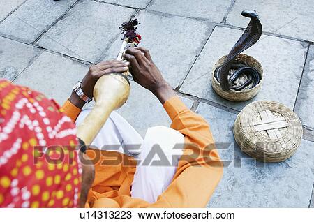 High angle view of a snake charmer playing the flute, Jaipur, Rajasthan, India View Large Photo Image Stock Image - High angle view of a snake charmer playing the flute, Jaipur, Rajasthan, India. Fotosearch