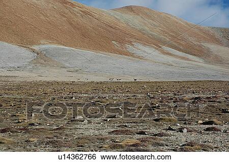 Stock Photograph - View of a barren foothill.. Fotosearch