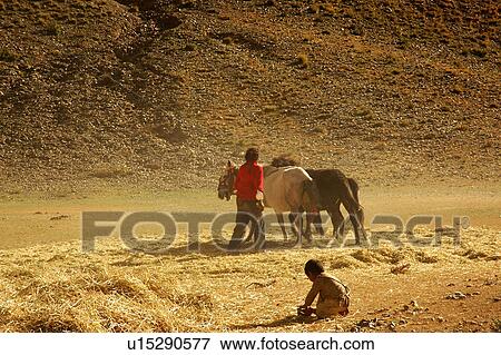View of a man standing near horses. View Large Photo Image Stock Photo - View of a man standing near horses.. Fotosearch