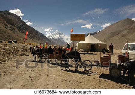 Picture - View of horses for transportation.. Fotosearch