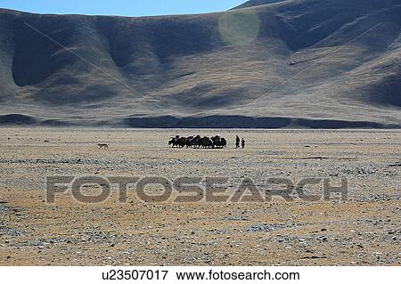 Stock Photo - View of people and animals on a barren land.. Fotosearch