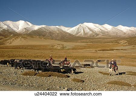 View of three people riding on animals. View Large Photo Image Stock Image - View of three people riding on animals.. Fotosearch