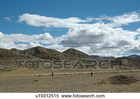 View of two people with large group of animals. View Large Photo Image Stock Photography - View of two people with large group of animals.. Fotosearch
