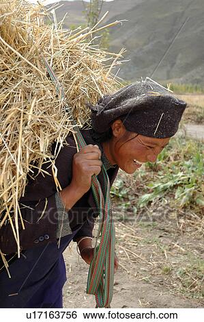 View of women carrying hay. View Large Photo Image Stock Photograph - View of women carrying hay.. Fotosearch