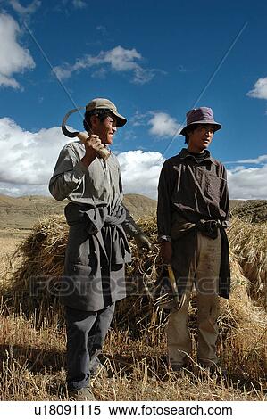 View of workers in a farm. View Large Photo Image Stock Photography - View of workers in a farm.. Fotosearch